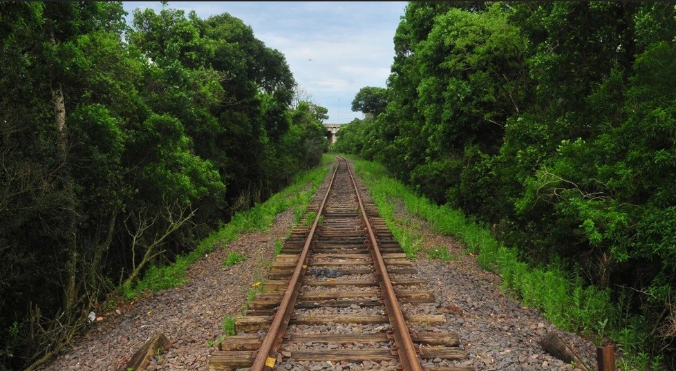 Codesul avança em projeto ferroviário e lança estudo para subsidiar proposta para a Malha Sul