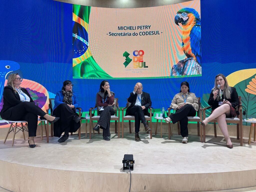 Secretária do Codesul apresenta projetos do conselho na COP-29